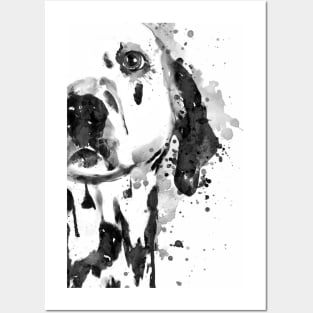 Black And White Half Faced Dalmatian Dog Posters and Art